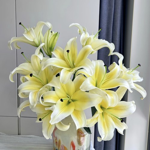 【云舍臻选】浓香型黄天霸单瓣百合 任意组合2单或以上冷链包邮