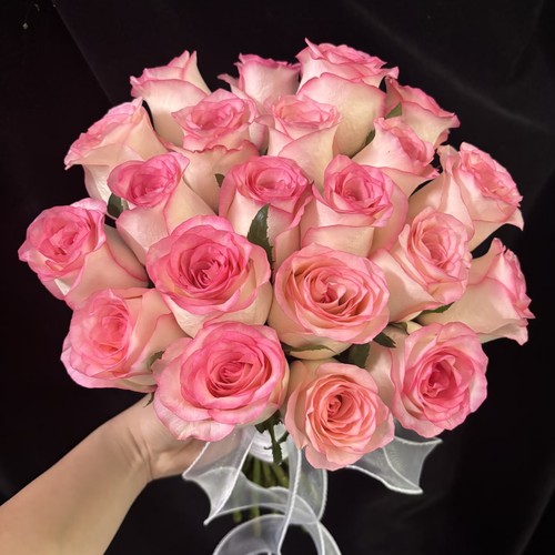 【云舍臻选】铁头艾莎单头玫瑰组合两单或以上包邮