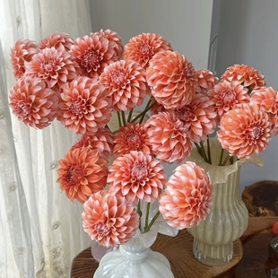 任意组合2单或以上冷链 奶油桃子大丽花一扎 包邮 云舍臻选