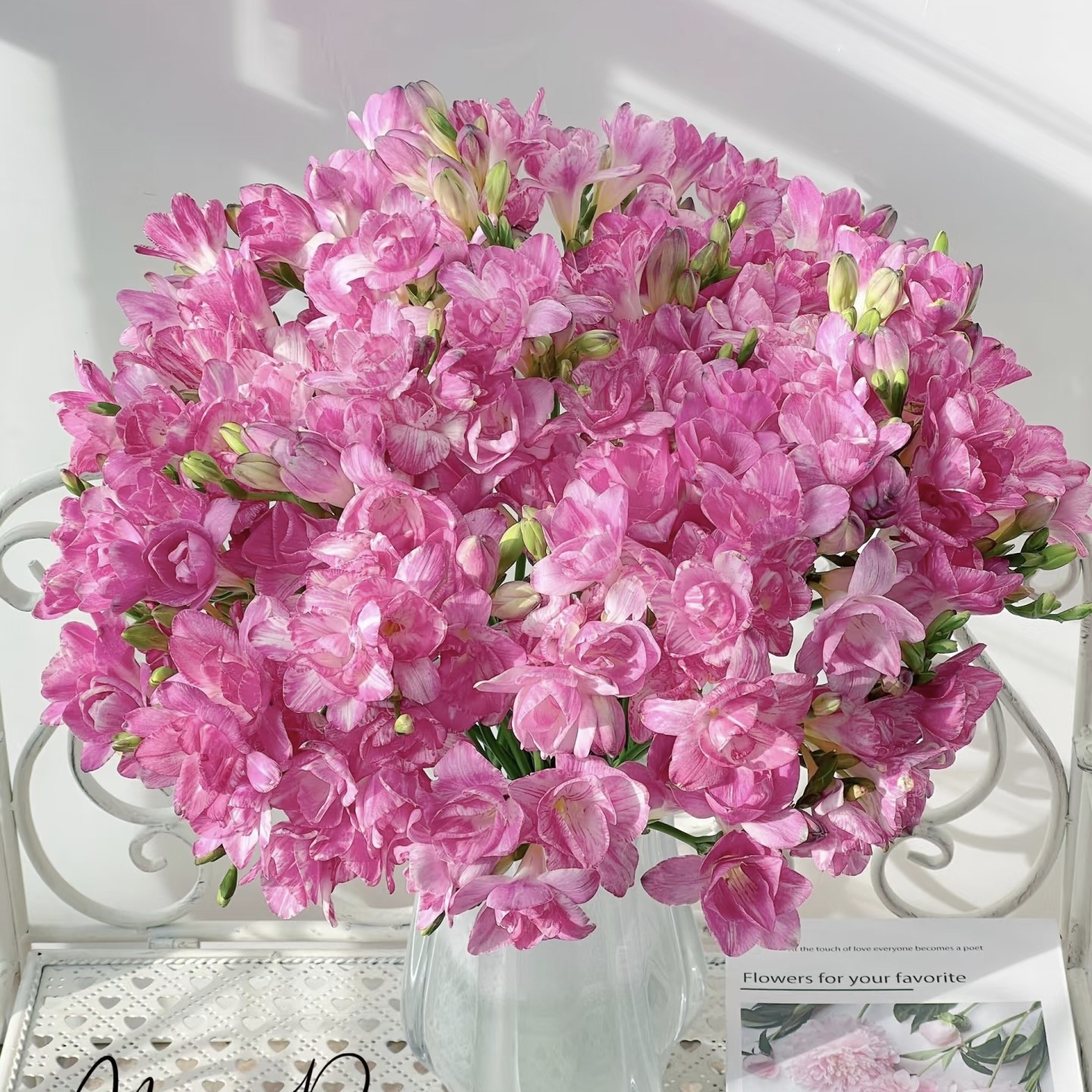 【云舍臻选】桃子公主【香雪兰】 任意组合两单或以上冷链包邮,鲜花速递/花卉仿真/绿植园艺,花材,淘宝优惠券,粉丝福利购,淘宝优惠卷