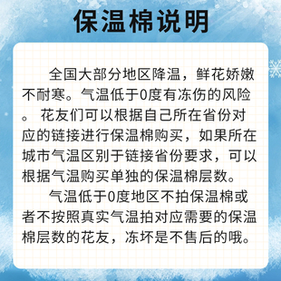 气温低于0度 谨防冻坏 0度以下必须拍 地区没拍不售后 保温棉