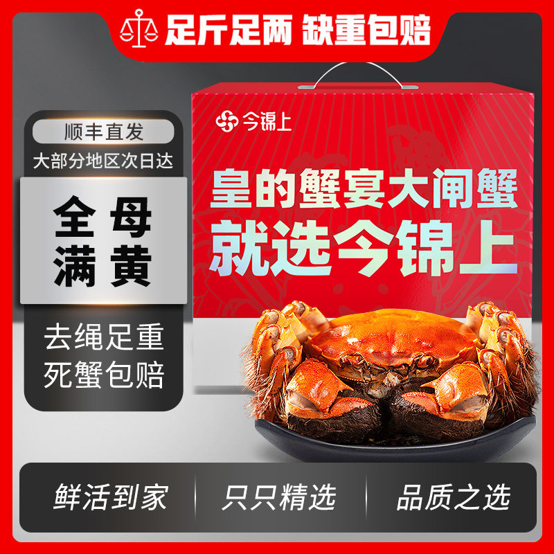 【去绳足斤足两】今锦上大闸蟹全母螃蟹鲜活特大礼盒6只/8只/10只
