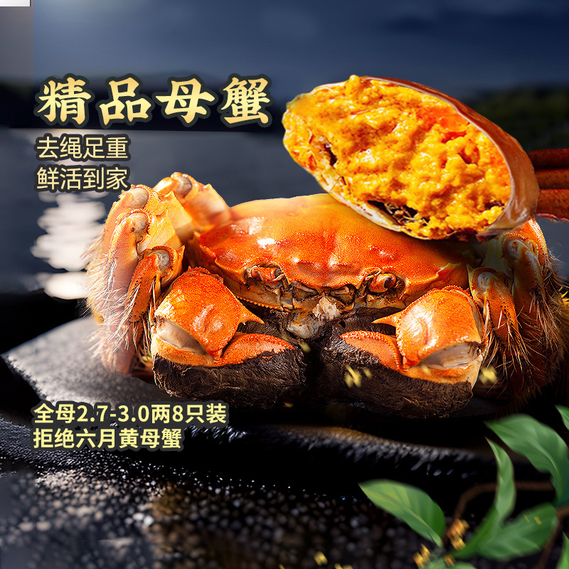 精品大闸蟹全母2.7-3.0两8只