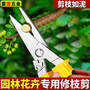 修枝剪果树嫁接园艺剪刀花艺剪园林修剪树枝采摘水果花卉专用剪子