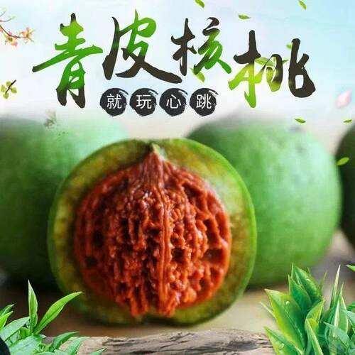 青皮核桃核桃树苗嫁接苗盆栽地栽南北方种植核桃苖当年结果核桃苗