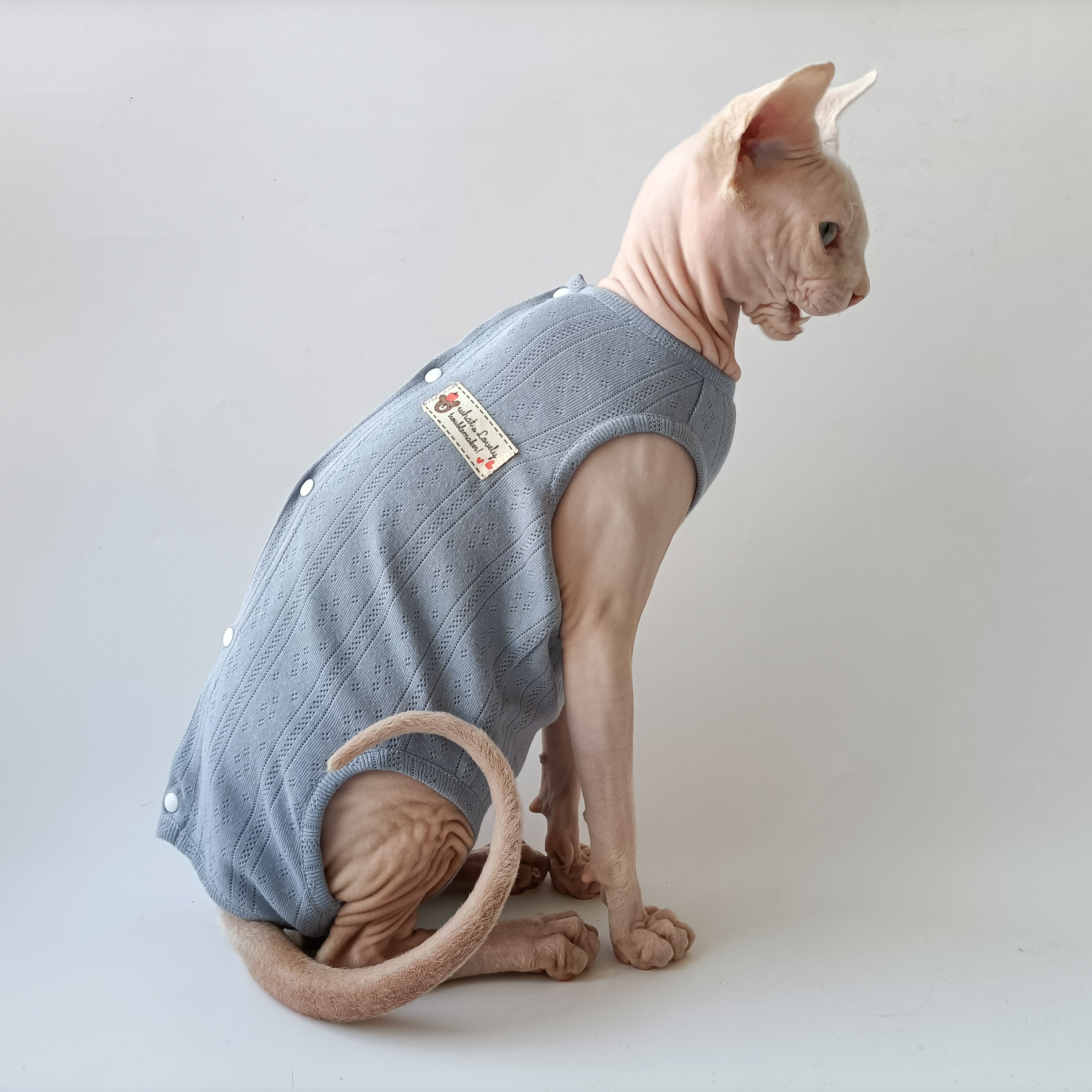 无毛猫德文衣服高品质布料柔软