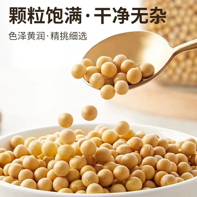 东北黄豆打豆浆专用生豆芽批发黄豆大粒黑龙江农家五谷杂粮大豆