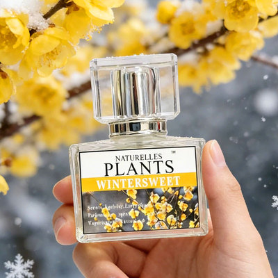 清冷腊梅持久淡香香水礼盒送礼