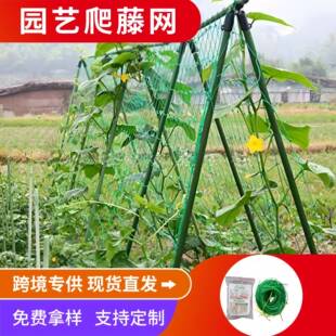 瓜棚网艺爬藤网种植果蔬爬藤网绿色植物支架网百香果葡萄蔬菜格子
