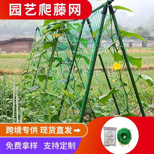 瓜棚网艺爬藤网种植果蔬爬藤网绿色植物支架网百香果葡萄蔬菜格子