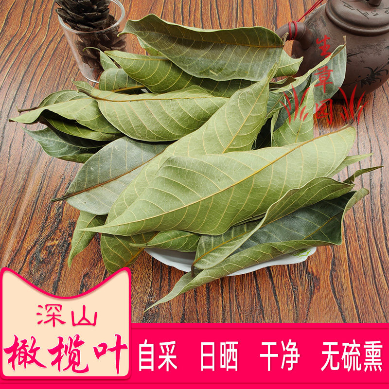 橄榄叶日晒新鲜青果叶青橄榄果橄榄子水果甘榄橄棪忠果谏果橄榄叶