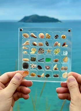 亚克力 贝壳展示收纳盒Acrylic Magnetic Seashell Display Box