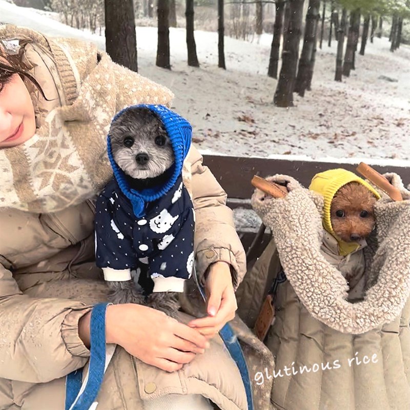 极速秋冬新款宠物加厚保暖卡通A四脚棉服狗狗猫咪衣服小型犬可牵