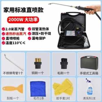 极速新新销高温蒸汽清洁机高压清洗机挂烫熨衣汽S车桑拿机熏蒸甲