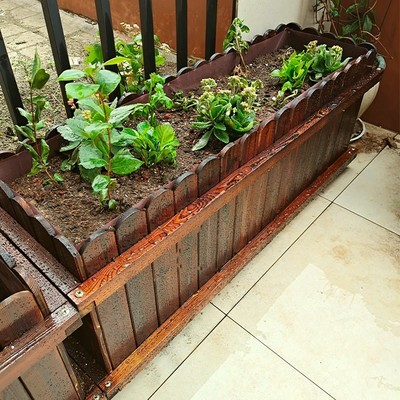 极速Large flower box rectangular planting balcony veget.able