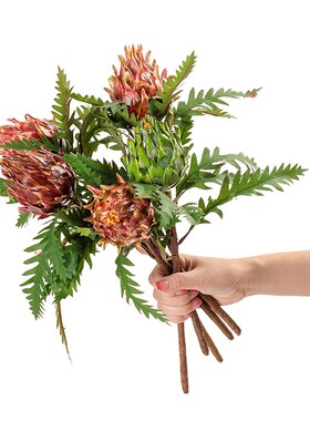 极速假花短枝水蓟洋蓟果INtS风仿真花家居装饰跨境婚庆MW25587