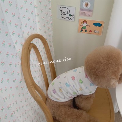 极速宠物透气背心泰n迪比熊贵宾雪纳瑞马尔济斯狗狗小猫咪小型幼