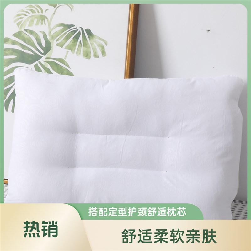 特价家用48*74定型护颈v枕头套枕芯单个装学生宿舍单人40*60