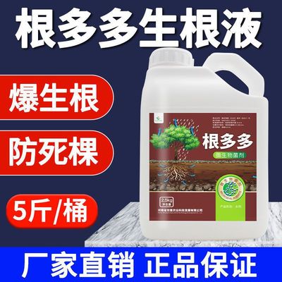 根多多生根剂生根壮苗剂水溶肥