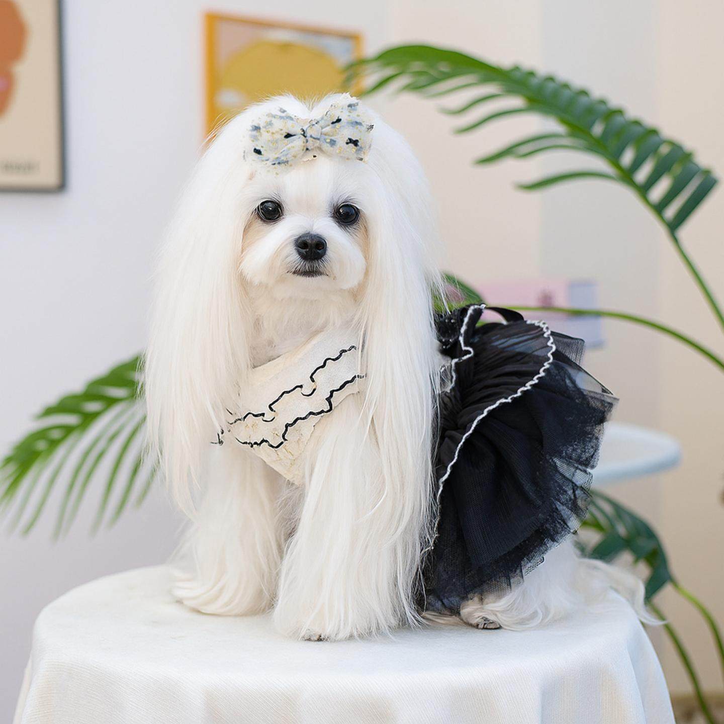 现货宠物服装宠物小狗猫咪蝴蝶结发夹饰品小型犬狗新款,模玩/动漫/周边/娃圈三坑/桌游,棉花娃娃场景道具娃屋,淘宝优惠券,粉丝福利购,淘宝优惠卷