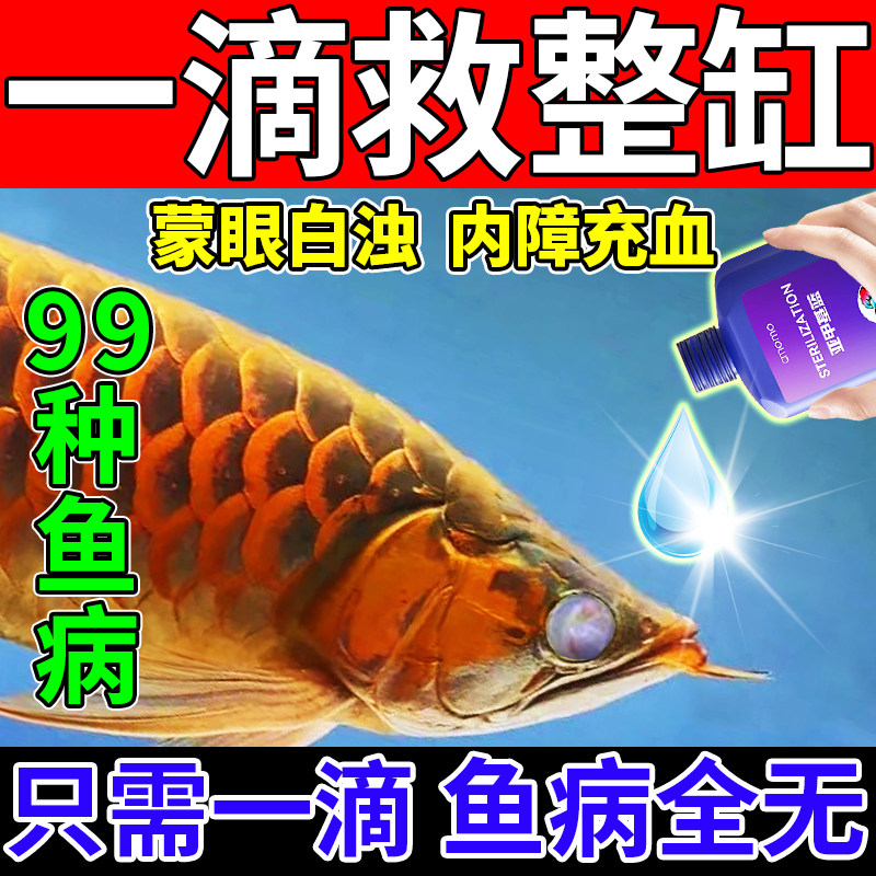 治鱼病的药鱼白眼病金鱼龙鱼蒙眼专用药肿胀充血观赏鱼突眼专用药