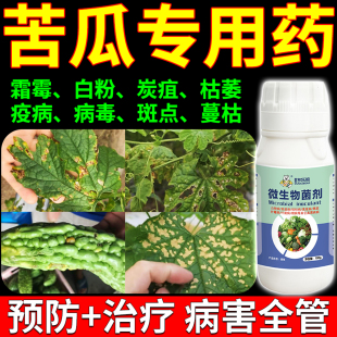 苦瓜专用药苦瓜丝瓜叶子黄斑卷叶枯萎炭霜疽霉烂病毒病杀菌剂肥料