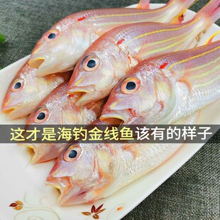 庆余年云梦鱼 湛江海鲜新鲜刀里鱼海钓金丝鱼N金线鱼 红三鱼红杉