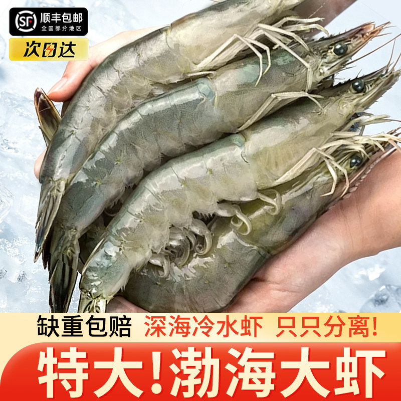 渤海大虾鲜活冷冻特大南美白虾图片