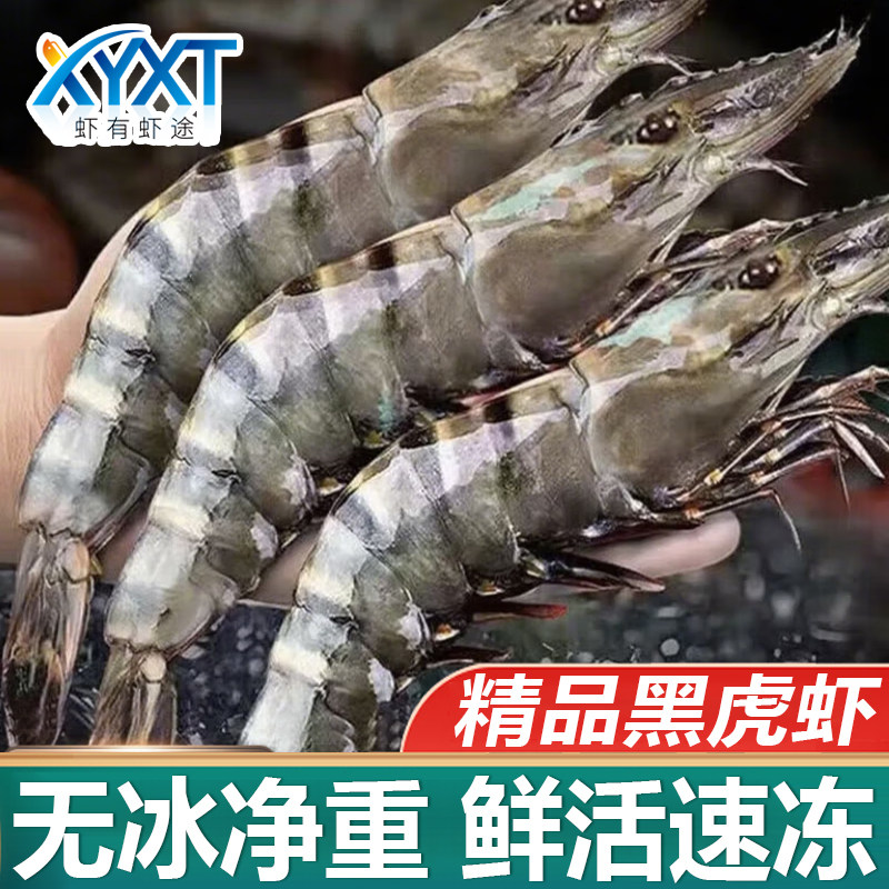 黑虎虾超大新鲜大虾特大海虾鲜活冷冻海鲜水产斑节虾老虎虾九节虾