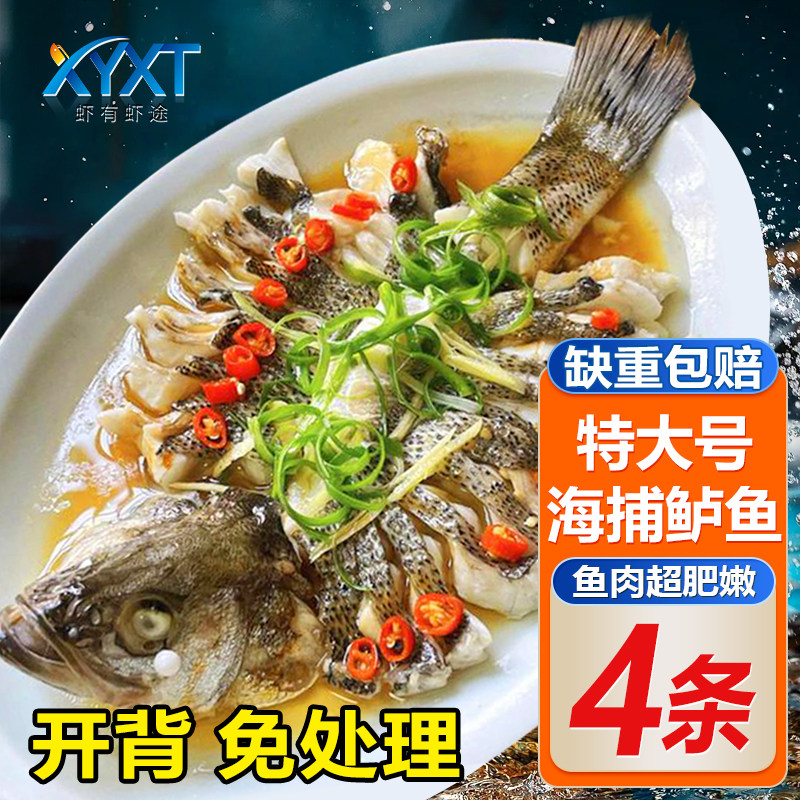 【虾有虾途】开背海鲈鱼鲜活冷冻海捕鱼斑鱼烤鱼食材免处理商用,水产肉类/新鲜蔬果/熟食,鲈鱼,淘宝优惠券,粉丝福利购,淘宝优惠卷