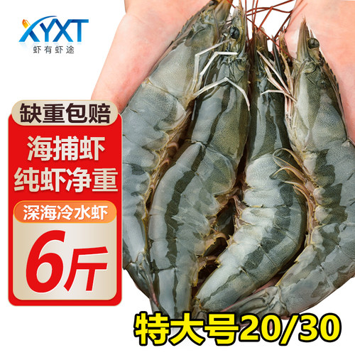 【虾有虾途】黄海大虾超大号海虾低脂食材白虾一整箱海鲜3.3