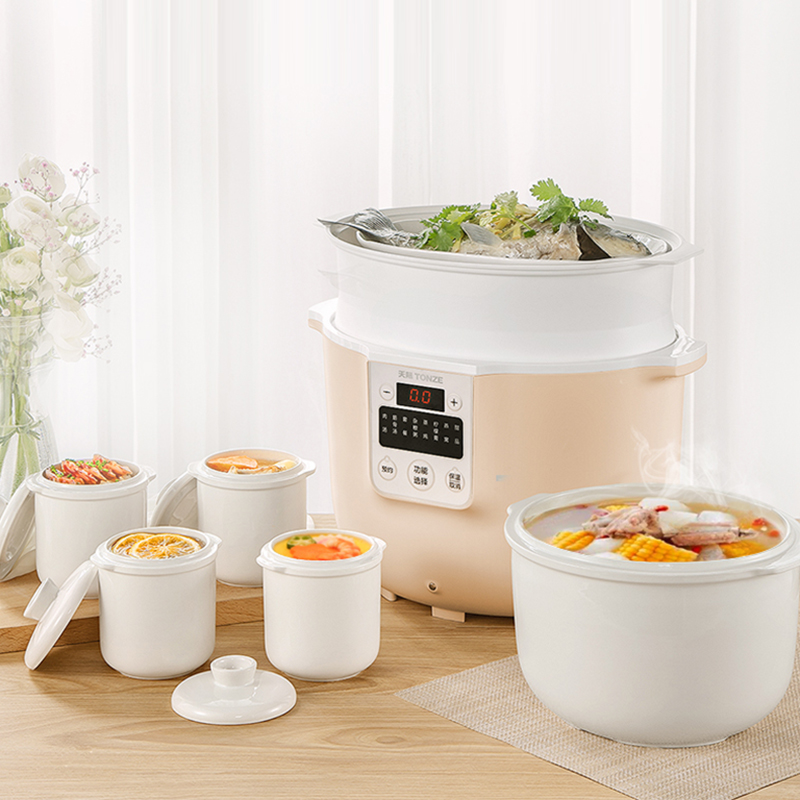 天际大容量4L隔水炖大家庭家用5胆电炖炖锅燕窝煲汤炖盅多功能