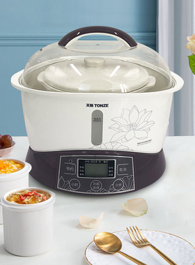 天际（家电） GSD-B22E天际隔水炖锅电炖锅家用陶瓷电炖盅一锅三