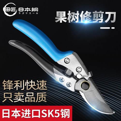日本sk5园艺剪刀花艺修枝剪剪枝果树修剪树枝修花专用花剪园林剪