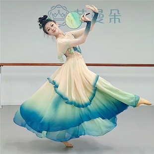 古典舞服装醉清波舞蹈服古典舞演出服古典舞蹈服女飘逸艺考剧目服