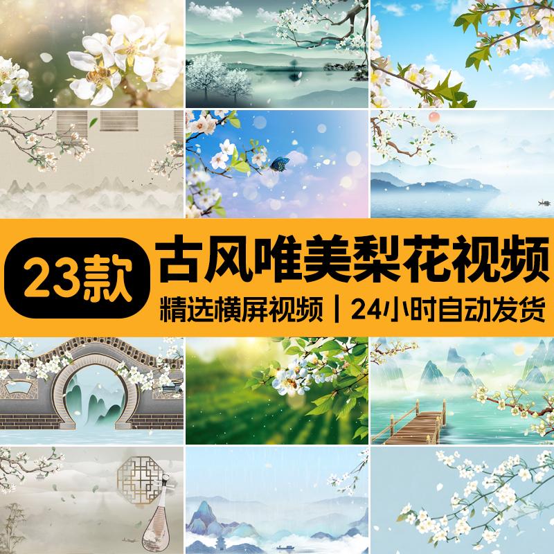 中国风古风水墨梨花瓣唯美舞蹈舞台表演出大屏幕LED背景视频素材