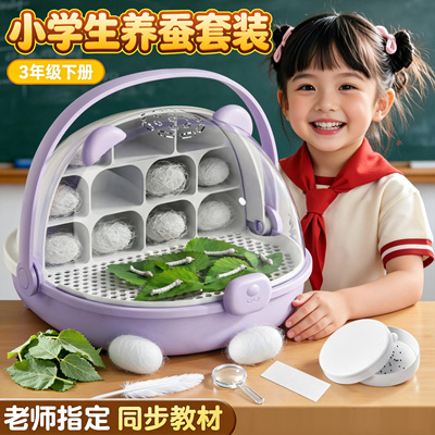 学生养蚕套装卵幼虫桑叶饲养箱