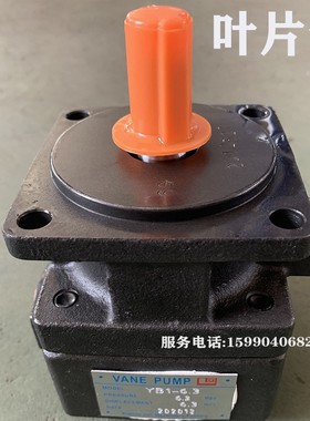 金属带锯床配件齿轮泵油泵CB-B4 CB-B6双泰伟仁4028沪缙数控4232