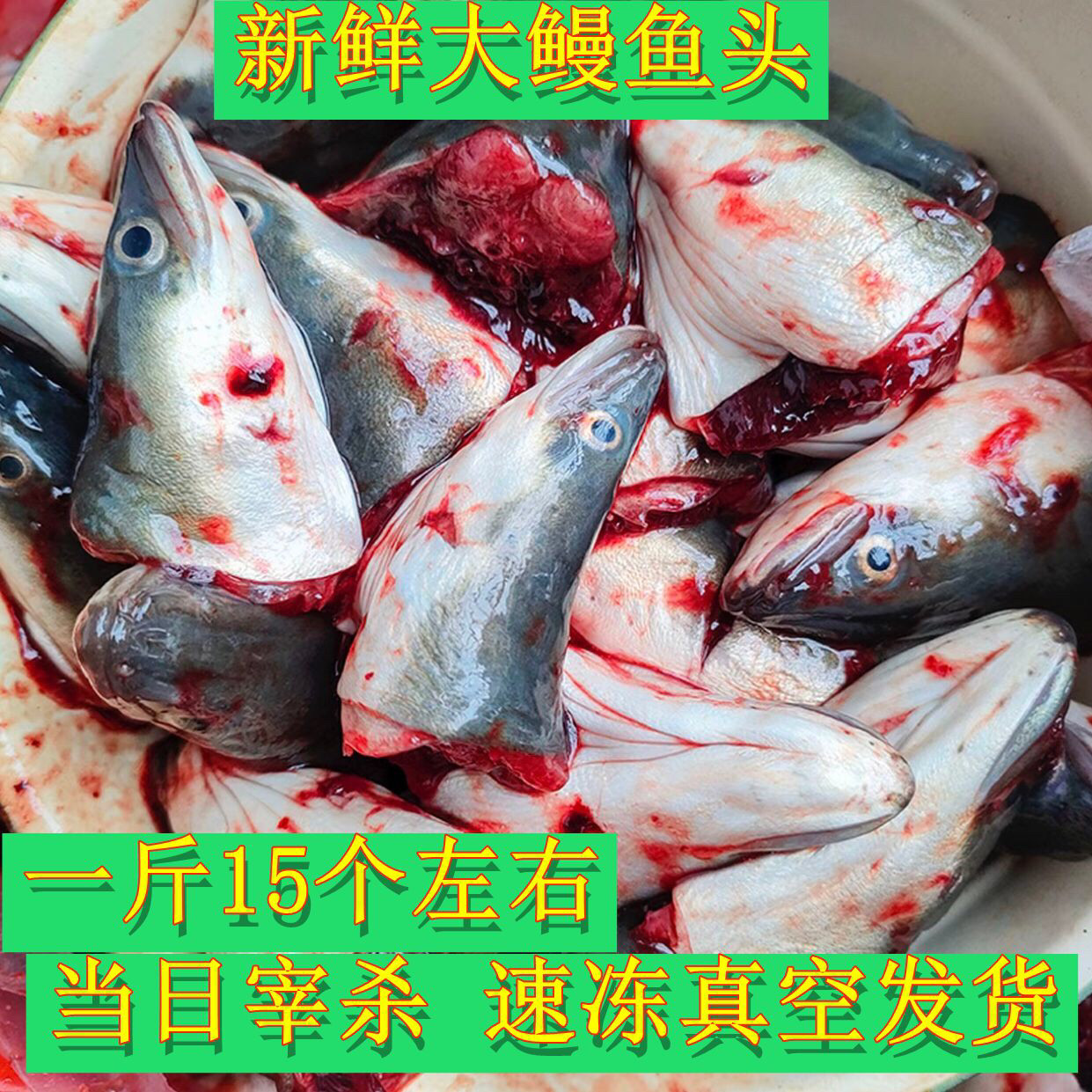 潮汕新鲜黑乌耳鳗鱼头1斤15个