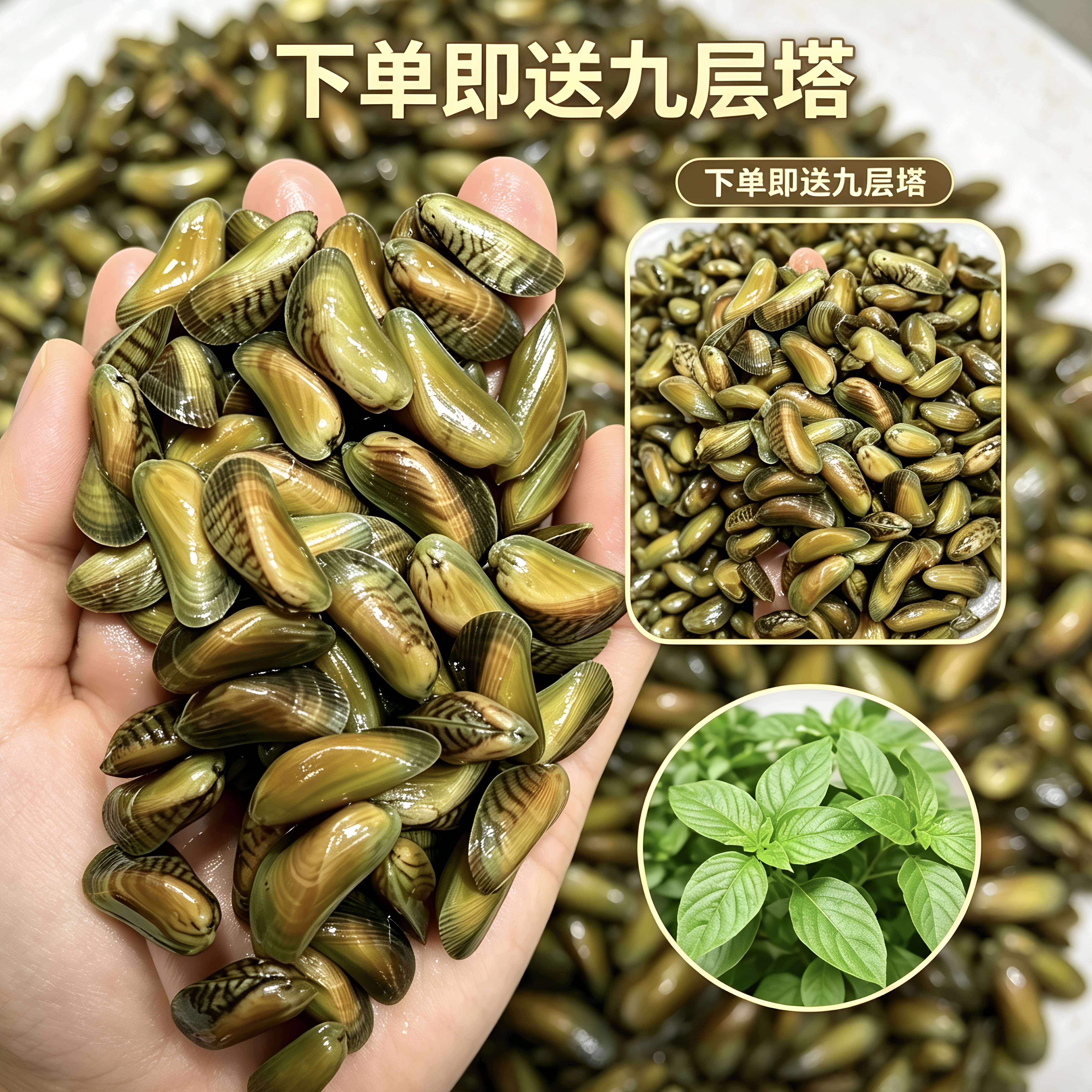 潮汕鲜活薄壳海瓜子现捞无泥沙