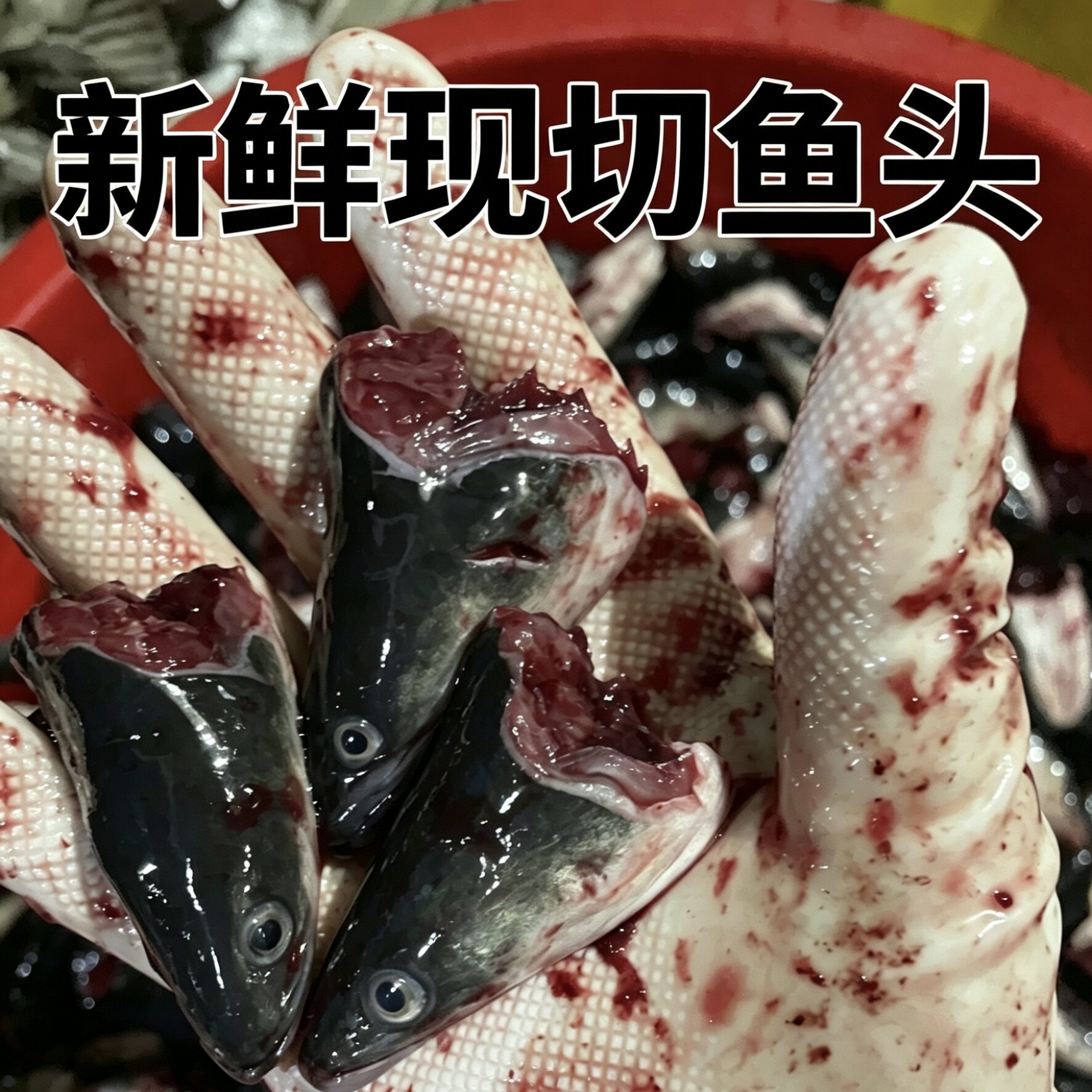 福建闽南新鲜农家海鲜整箱河鳗头新鲜鳗鱼头菜脯潮汕美食鲜活鳗头