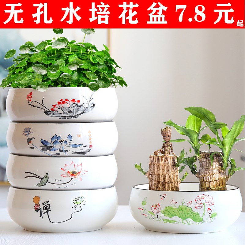水培花盆一叶莲铜钱草金钱水仙创意绿萝无孔陶瓷大号碗莲睡莲特价