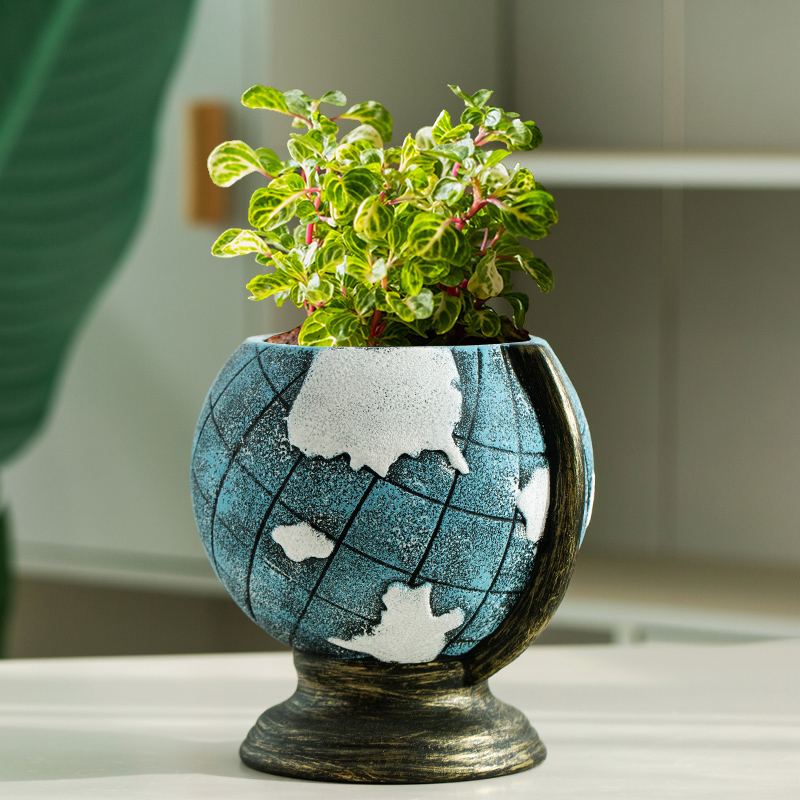肉肉植物地球仪花盆特价清仓