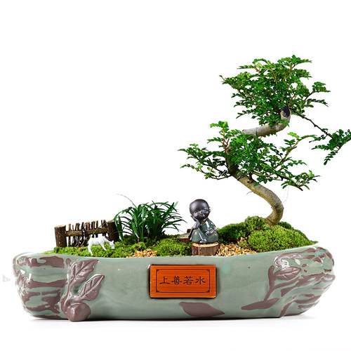 北欧风花盆陶瓷个性创意蝴蝶兰花大号带托盘四个一套清仓多肉花盆