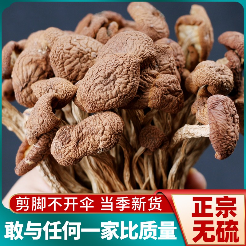 干茶树菇干货500g旗舰店新鲜菌类...