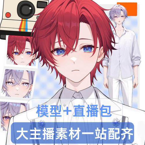 live2d虚拟主播成品公皮紫白偶像抖音直播虚拟形象设计虚拟主播