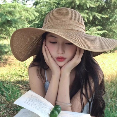 度假风法式弧边大帽檐草帽女夏季