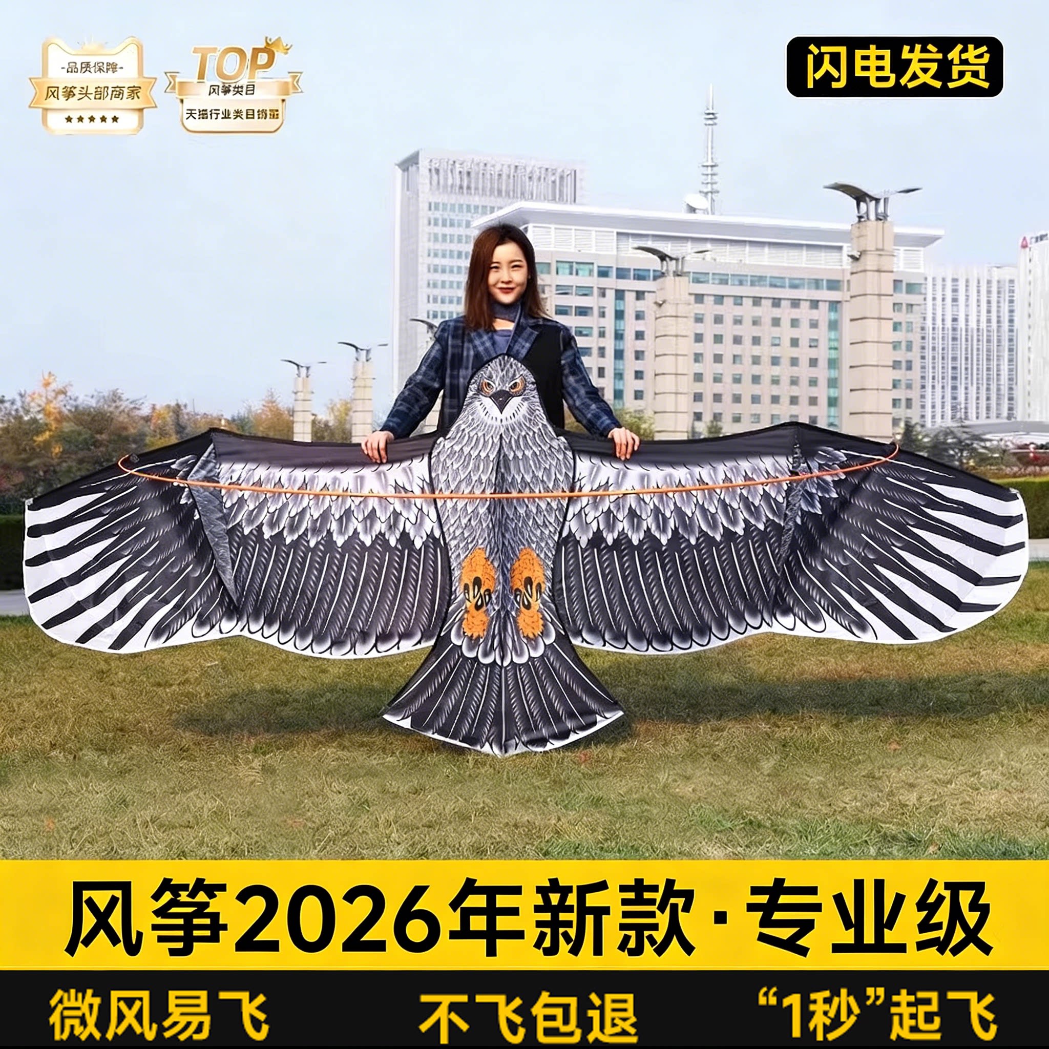 【大型特大号】专业级老鹰风筝图片