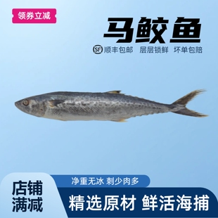 马鲛鱼新鲜冷冻大鲅鱼整条青岛鲅鱼片马友鱼香煎燕鲅顺丰包邮