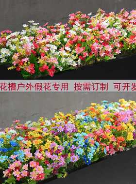 跳兰菊户外花箱用花仿真花假花
